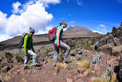 Can I hike to the summit of Mount Kilimanjaro without being a seasoned mountaineer?